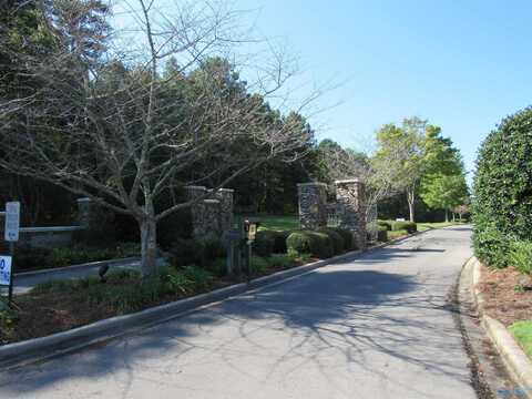 Lot 115 County Road 182, Crane Hill, AL 35053