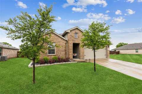16417 Marinette Court, Justin, TX 76247