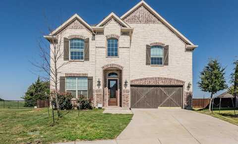 17365 Texas Pistache Drive, Dallas, TX 75252