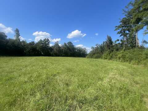 0 County Road 239, New Brockton, AL 36351