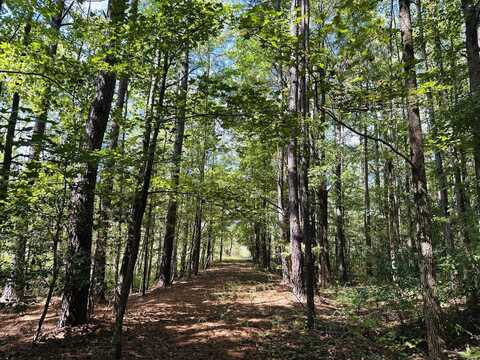 00 Old Wagner Rd, Disputanta, VA 23805