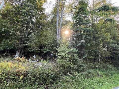 Tallmansville Rd, Tallmansville, WV 26237