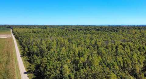 County Road 2600E, Fairfield, IL 62837