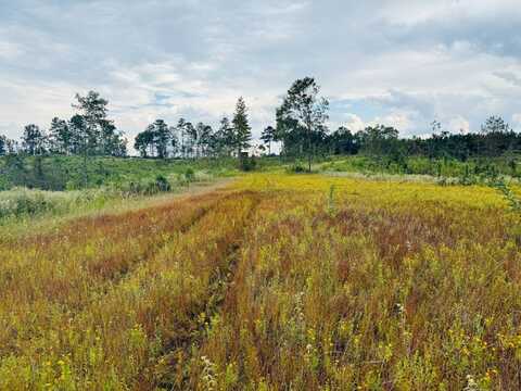 Goodson Rd, Fayette, MS 39069