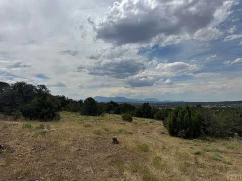 Tr 87 Bear Creek Rd, Walsenburg, CO 81089
