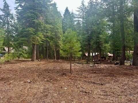 3840 Mary Ann Lane, Lake Almanor, CA 96137