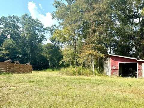 126 Bill Terrell Road, Carriere, MS 39426