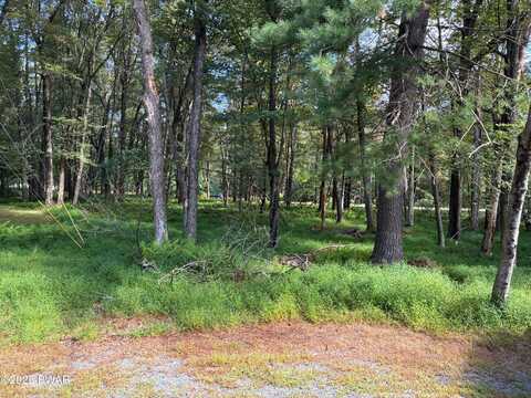 Junco Court, Milford, PA 18337