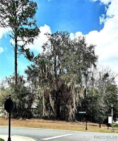 494 W Cobblestone Loop, Hernando, FL 34442