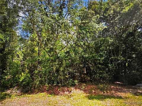 2678 E Celina Street, Inverness, FL 34453