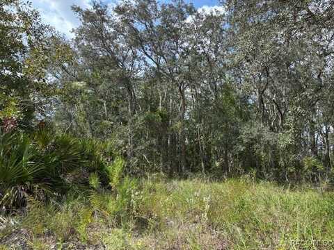 2704 W Patterson Court, Lecanto, FL 34461