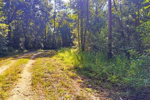 255 Riverside Cir, Wewahitchka, FL 32465
