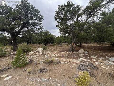 1917 Lone Pine Way, Crestone, CO 81131