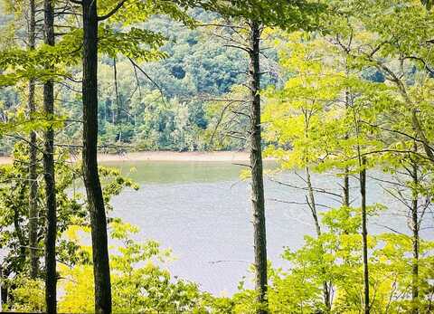 Lot 119 Greenberry DR, Pittsville, VA 24139