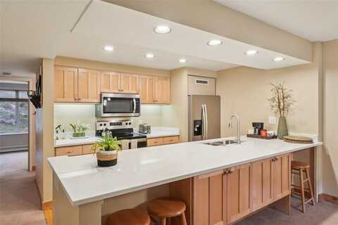 22097 SAINTS JOHN ROAD, Keystone, CO 80435