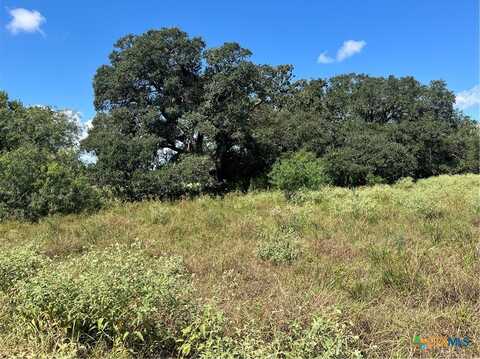 394 Hubalek Road, Inez, TX 77968