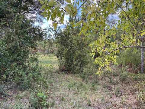S CR 53, Madison, FL 32340