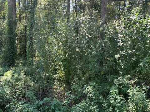Buck Lake Road, Tallahassee, FL 32317