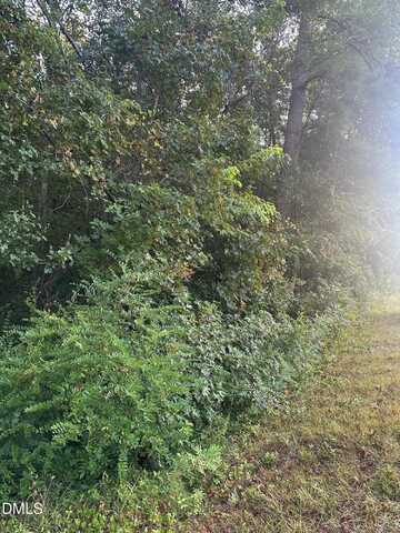 0 98 Highway, Louisburg, NC 27549