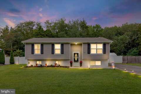 333 ERIE AVENUE, CLAYTON, NJ 08312