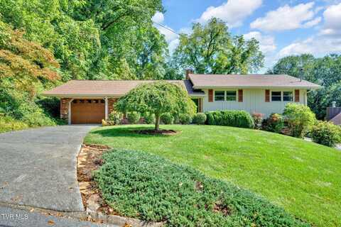 3408 Linkwood Drive Drive, Johnson City, TN 37601