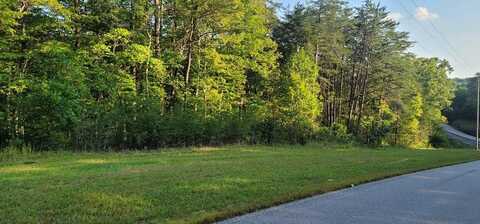 4.6 State Hwy 111, Spencer, TN 38585