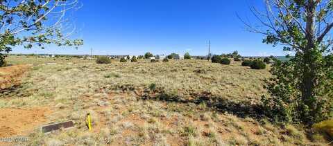 1190 S Haystack Road, Taylor, AZ 85939