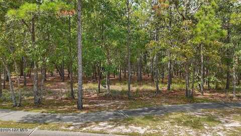 2929 Serrano Trail SE, Bolivia, NC 28422