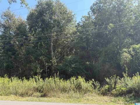 1070 PARK ROAD, BESSEMER, AL 35023