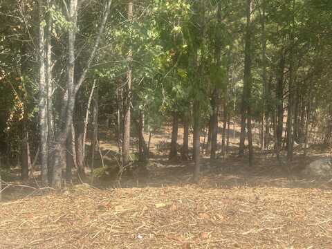 14 Stonechase Lane, Cohutta, GA 30710