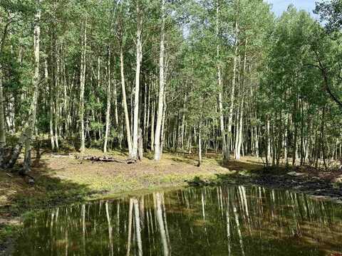 49404 FS 567, Mancos, CO 81328
