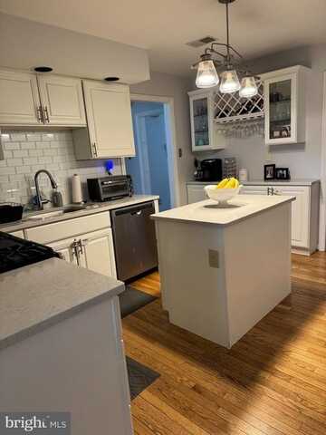 295 PARK PLACE, MEDIA, PA 19063