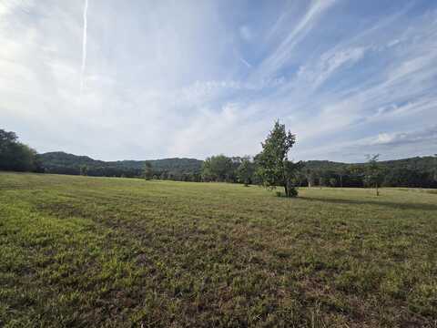 00 Golden Run (Lot 22) Lane, Shell Knob, MO 65747