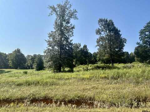 TBD Ridgeline Loop, Winona, TX 75792