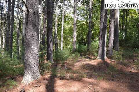 Lot #12 Enchanted Forrest Drive, Piney Creek, NC 28663