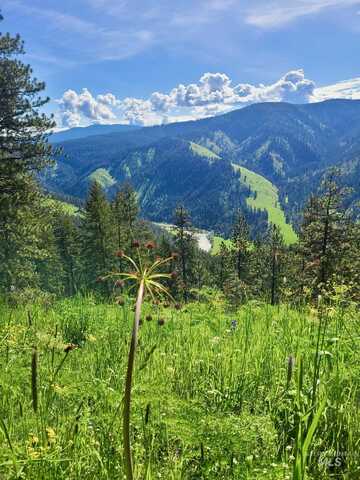 929 Mt. Idaho Grade Rd, Grangeville, ID 83530