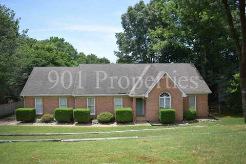 8269 TRINITY, Memphis, TN 38018