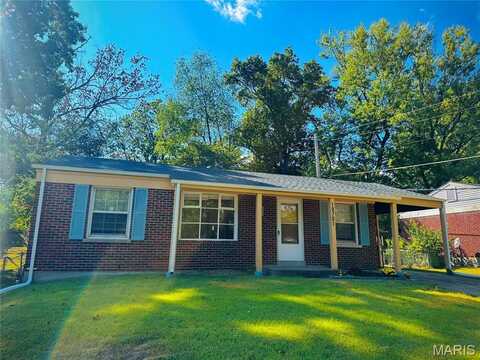 10701 Alliance Drive, Saint Louis, MO 63136