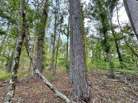 1 Prentiss Crump Road, Terry, MS 39170