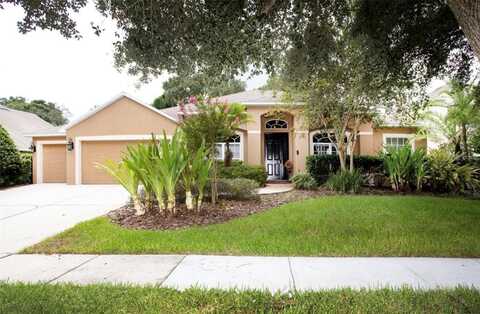 311 GOLDEN ELM DRIVE, SEFFNER, FL 33584