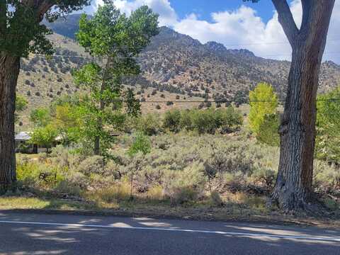 Lot 4 US Hwy 395, Topaz, CA 96133