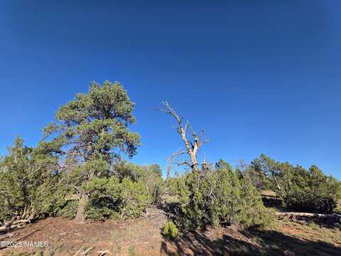 #50231228a Red Butte Rd Parcel #50231228a, Williams, AZ 86046