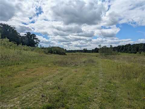 9019 Sr 45 Road, Saybrook, OH 44010