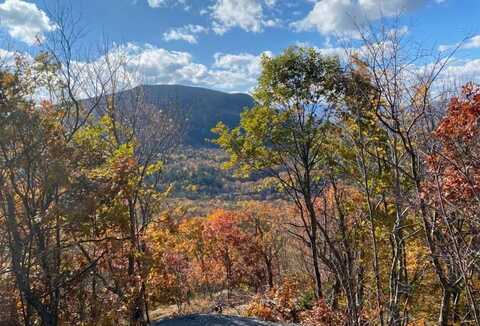 1156 Bear Mountain Road, Wallingford, VT 05773