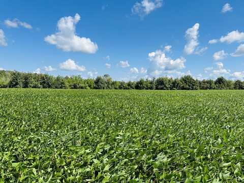 Lot 068-0, Prince George Drive, Disputanta, VA 23842
