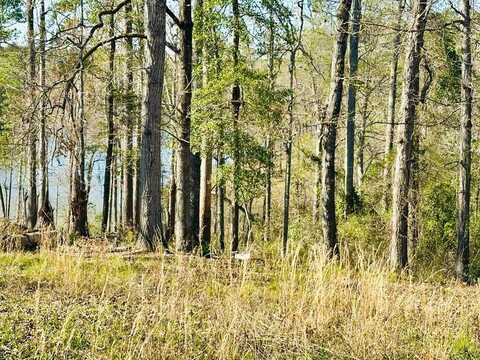 208 Dogwood Circle, Abbeville, AL 36310