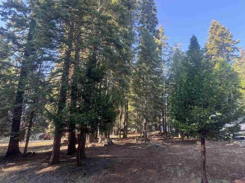1129 Clifford Drive, Lake Almanor, CA 96137