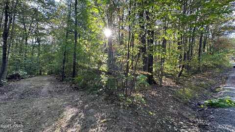 58 Salem View Drive Drive, Waymart, PA 18472
