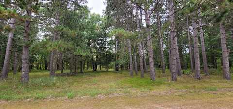 13953 E Wolf Drive, Gordon, WI 54838