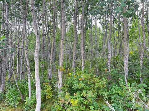 County Road T lot: 1, Wascott, WI 54838